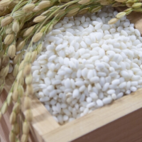 教会式挙式でおこなわれるライスシャワーの起源と意味